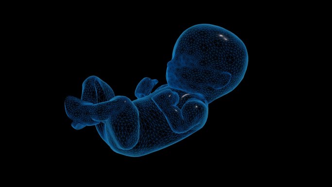 蓝色科技线条胎儿婴儿透明通道素材