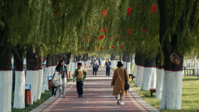 淄博 安澜湾景区 休闲 林荫