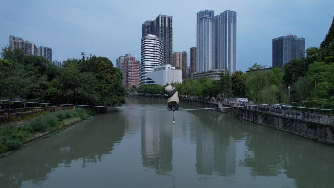 成华公园锦江高楼大厦熊猫走钢丝后飞