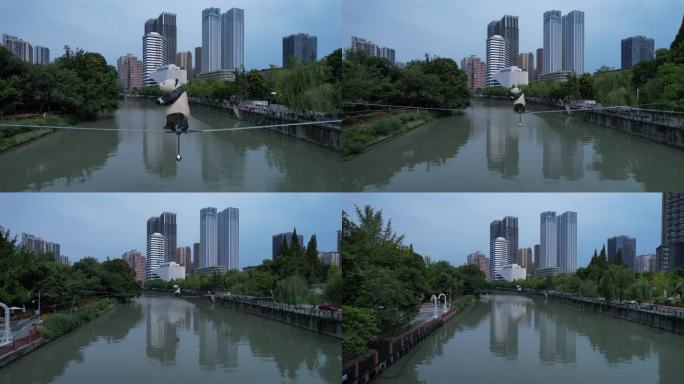 成华公园锦江高楼大厦熊猫走钢丝后飞