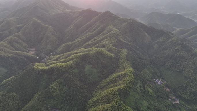 航拍江南早晨竹山竹海竹林山脉实拍原素材