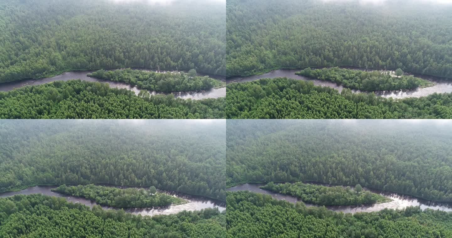 航拍晨雾缭绕的绿色森林