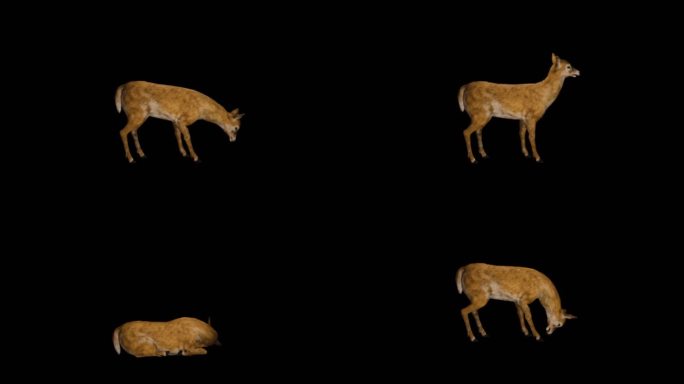 小鹿动画全工程序列帧