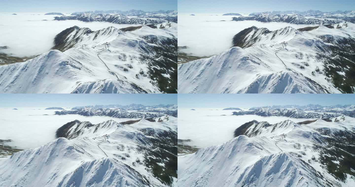 夹金山全景冬季航拍雪景云海