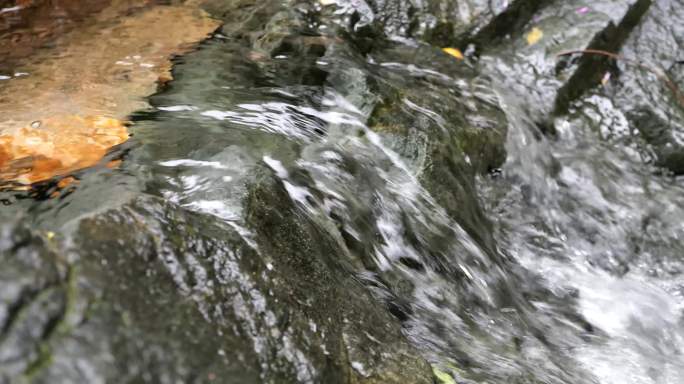 流水小溪山泉自然林中