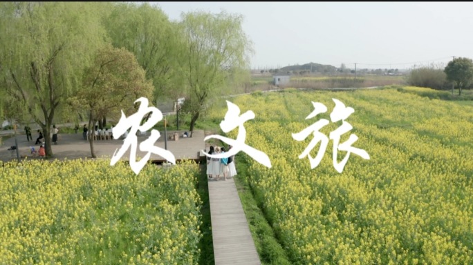 4k江南美丽乡村乡村振兴旅游实拍