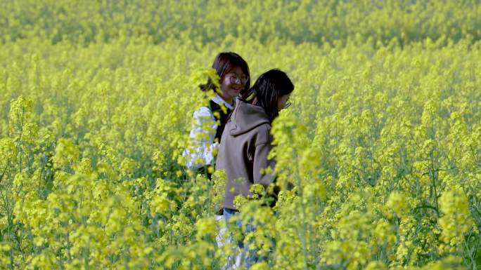 4k江南美丽乡村乡村振兴旅游实拍