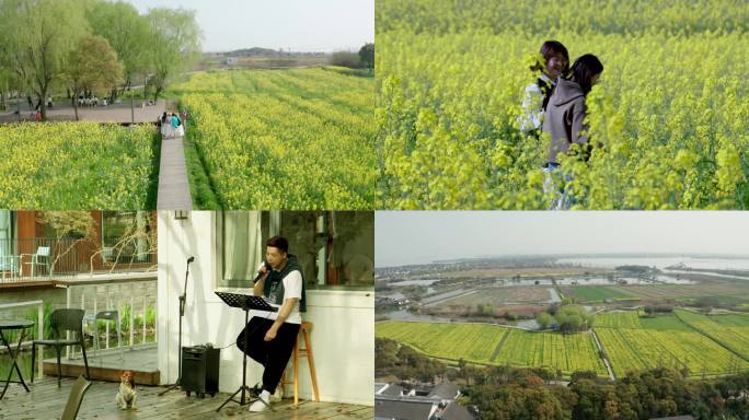 4k江南美丽乡村乡村振兴旅游实拍