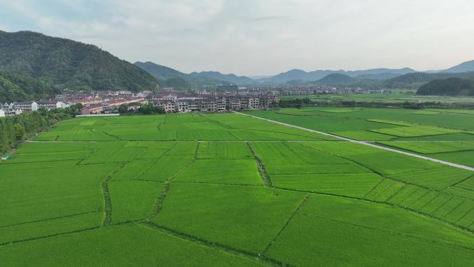 航拍江南浙江山区农田稻田农村乡村山村集镇