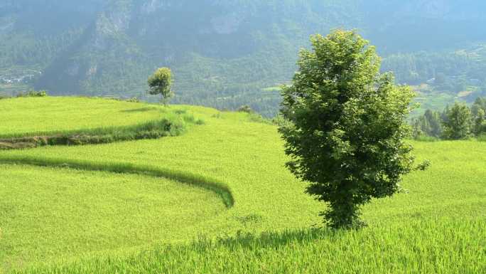 贵州田园风景风光素材