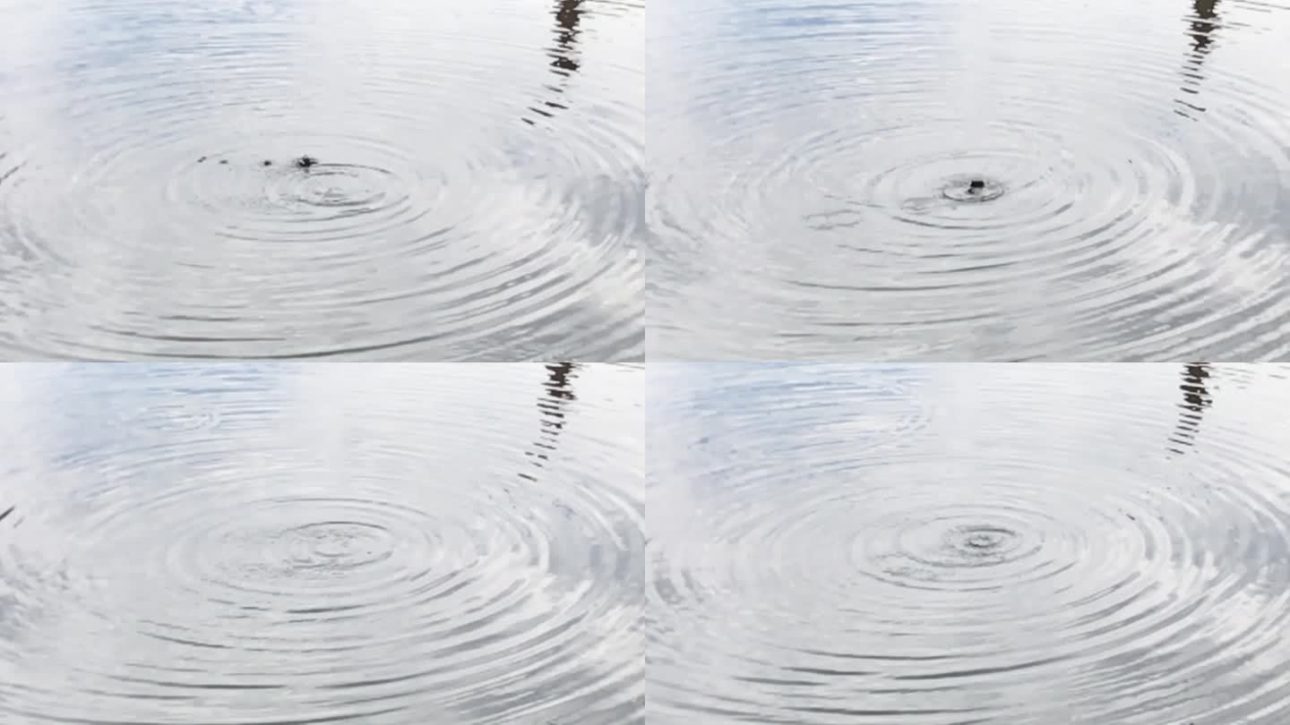 池塘 河水 滴水 波纹