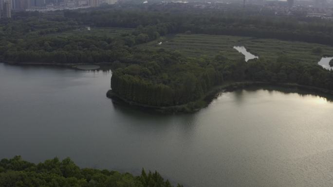 嘉兴石臼漾航拍风景