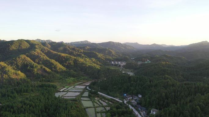 航拍重庆石柱冷水莼菜田风光