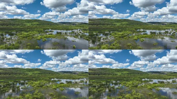 航拍湿地公园沼泽水草