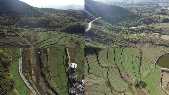 通城田地山脉 乡村 地貌 航拍A020