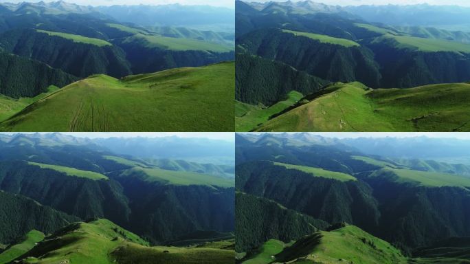 新疆那拉提草原航拍峡谷森林草甸壮美辽阔