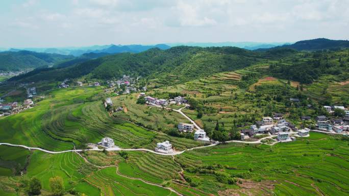 乡村振兴 绿色家园 理想家园