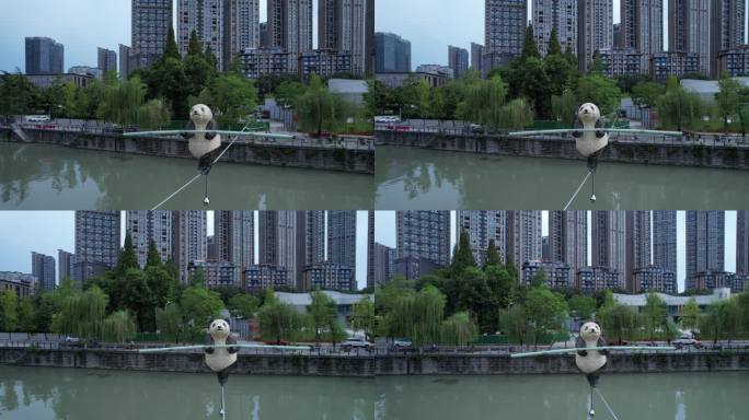 公园锦江高楼大厦熊猫走钢丝左半环绕01