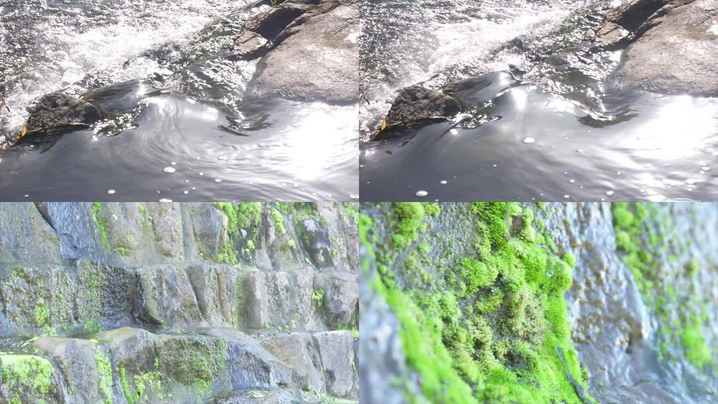溪水苔藓石头视频素材A020