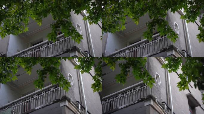 台州温岭市虎山公园视频素材C0582