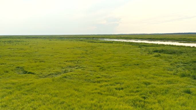 东北平原 湿地 山水中国 生态