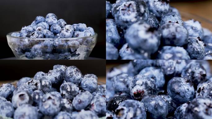 蓝莓 蓝莓实拍