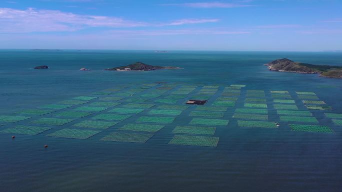 4K海洋牧场 海水养殖