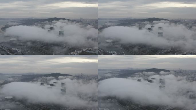 航拍厦门会展中心