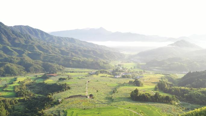 建宁谢马苏荷花梯田航拍4K村落云海