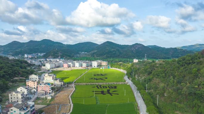 台州  玉环 沙门 共富农场延时