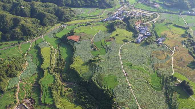 建宁谢马苏荷花梯田航拍4K村落云海