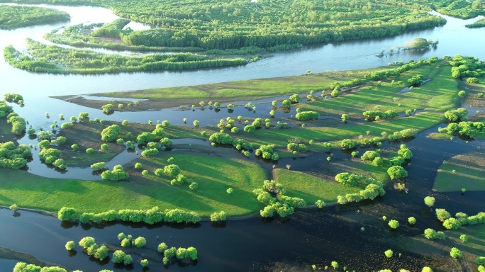 航拍湿地河湾风景