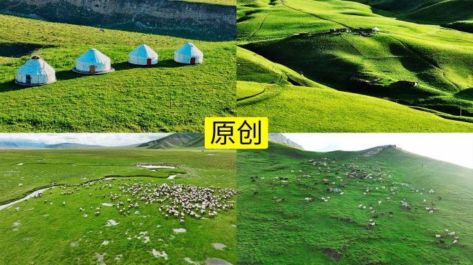 航拍新疆伊犁草原天然牧场羊群4K