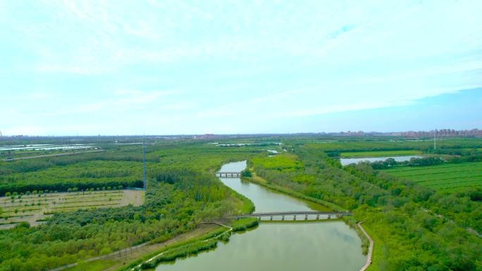 天津西青郊野公园湿地航拍