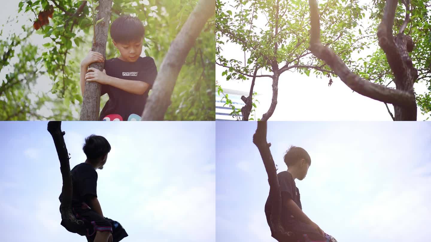 儿童玩耍  爬树