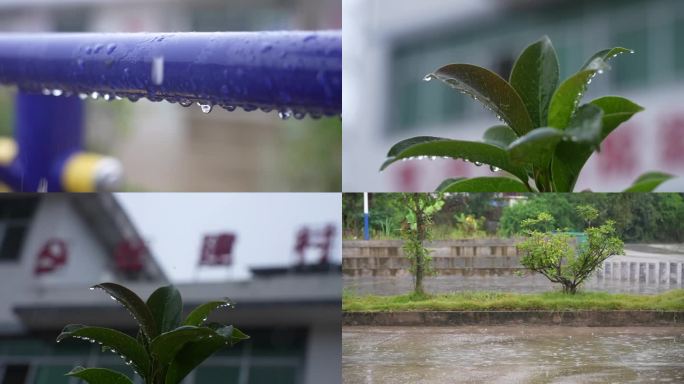 雨中风景