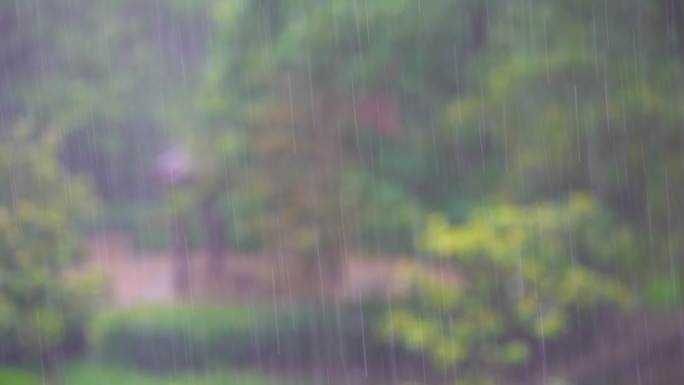 雨丝树叶晃动电动车行人