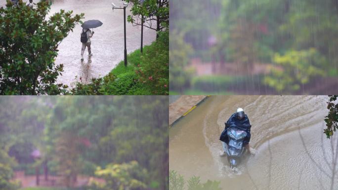 雨丝树叶晃动电动车行人