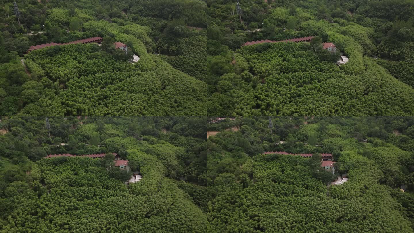 灞桥区鲸鱼沟竹海风景区25