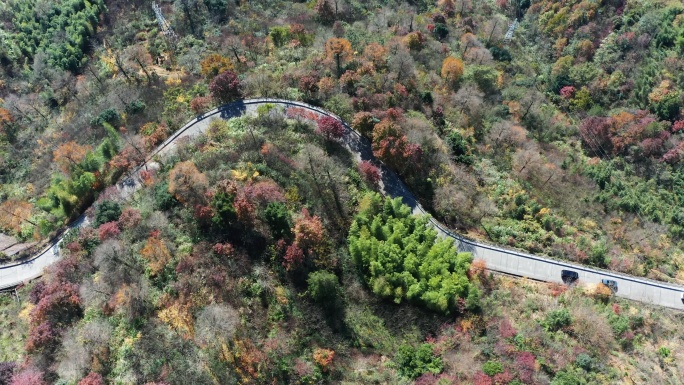 宁波四明山茅镬古树公园山路旅行航拍