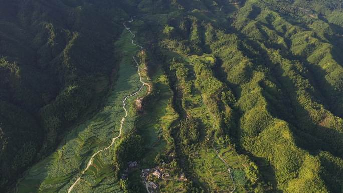 建宁谢马苏荷花梯田航拍4K村落云海