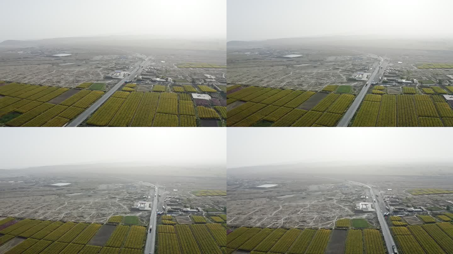 航拍大型农田种植地中国农业发展