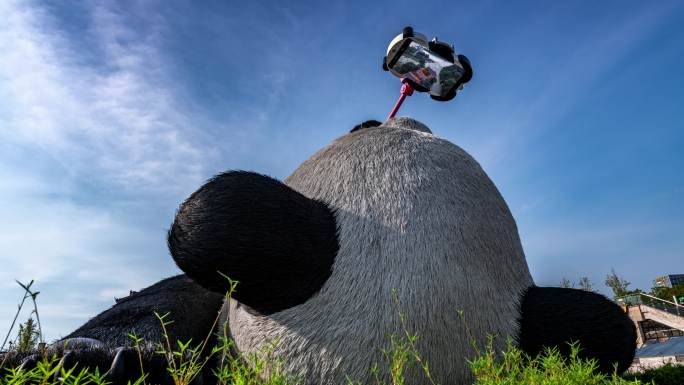 大熊猫自拍转场模板