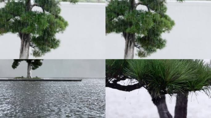 雨天日式禅意园林景观