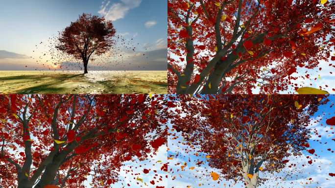4k 秋天到了树叶随风飘落