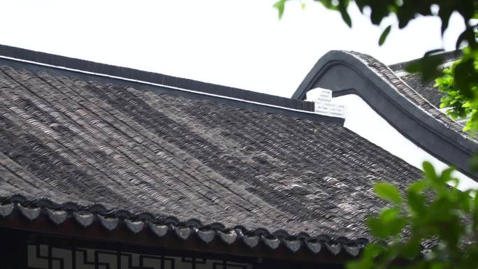 老建筑 仿古建筑 屋檐 竹子竹林A006