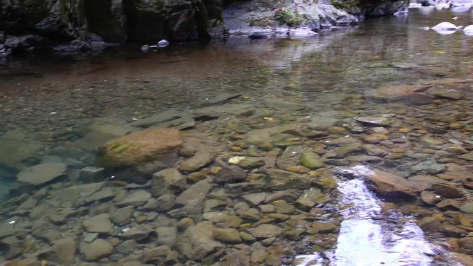 小溪 溪水 山涧 流水