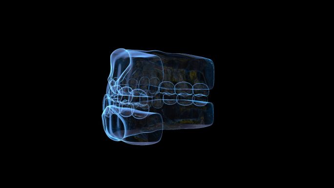 科技全息口腔牙齿透明通道素材