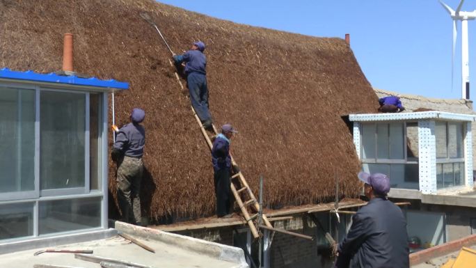 胶东农村民居修整海草房顶手脚架 脚手架