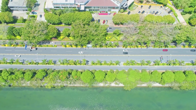 航拍城市道路绿色交通车流